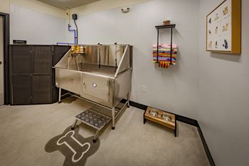 Pet spa